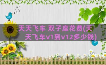 天天飞车 双子座花费(天天飞车v1到v12多少钱)
